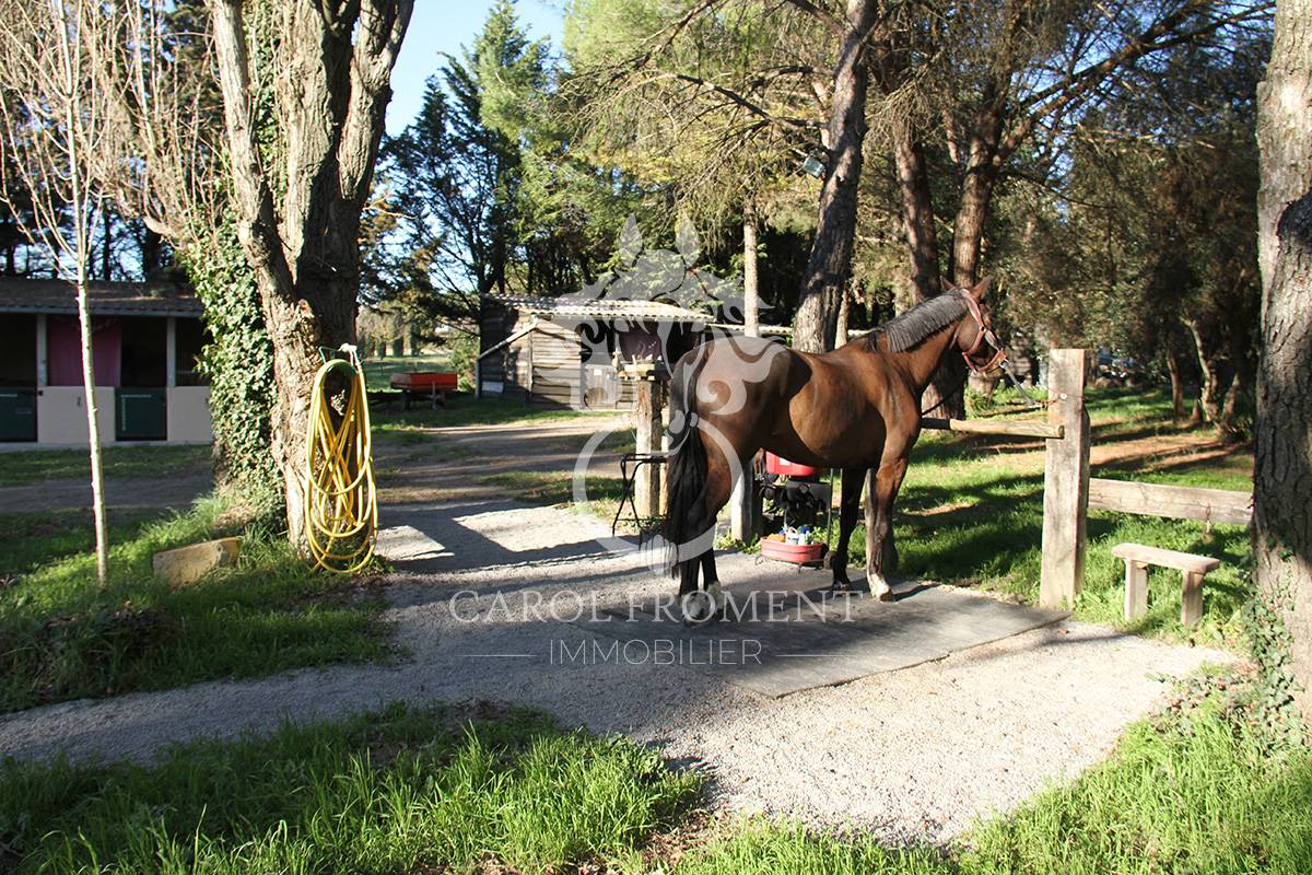 Bella dimora equestre In vendita Gard