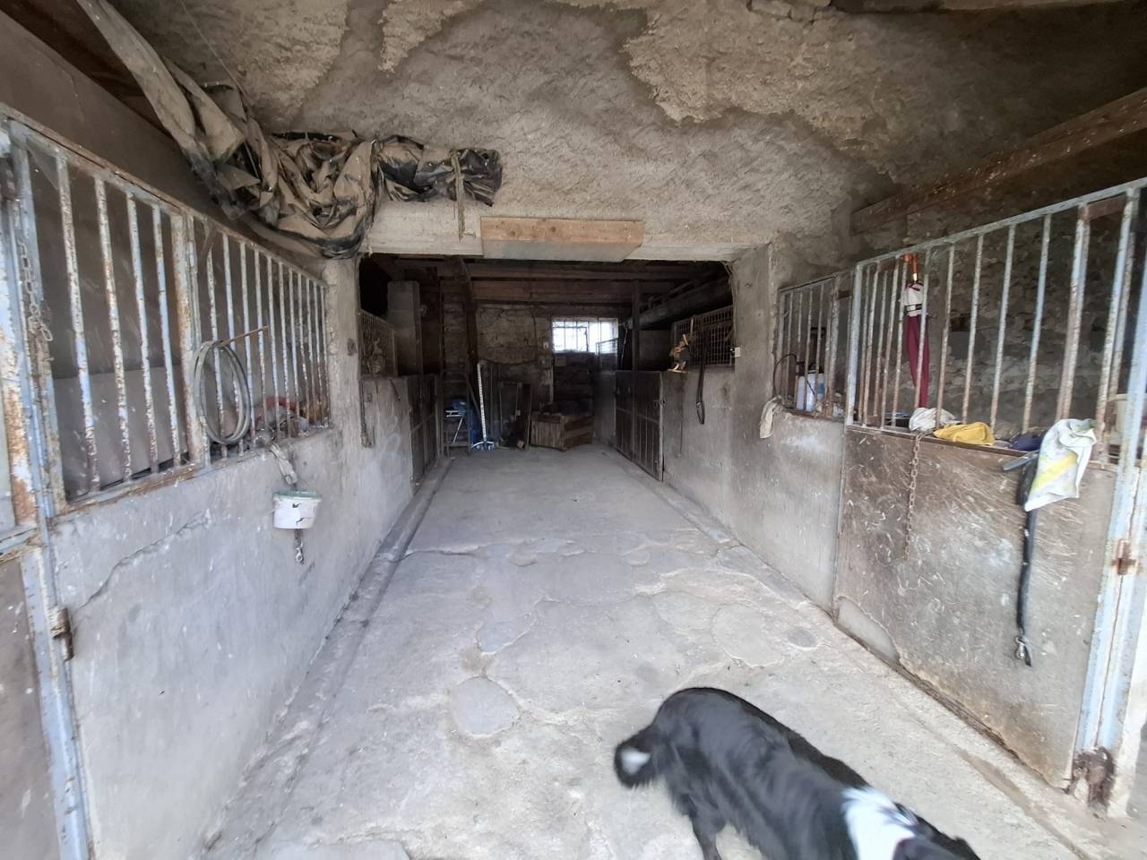 Propriet&agrave; equestre In vendita Cher