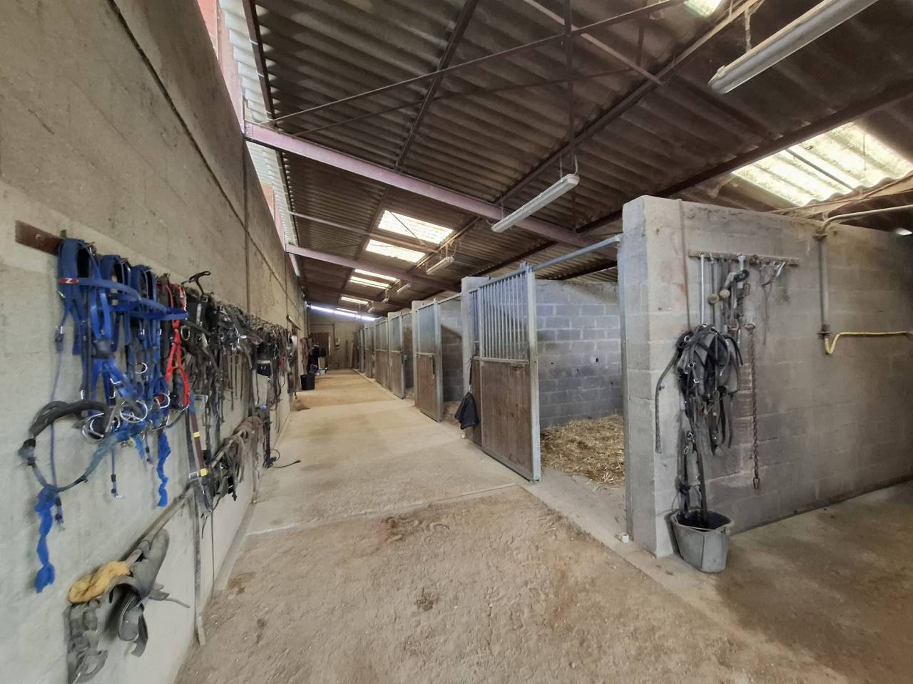 Propriet&agrave; equestre In vendita Cher
