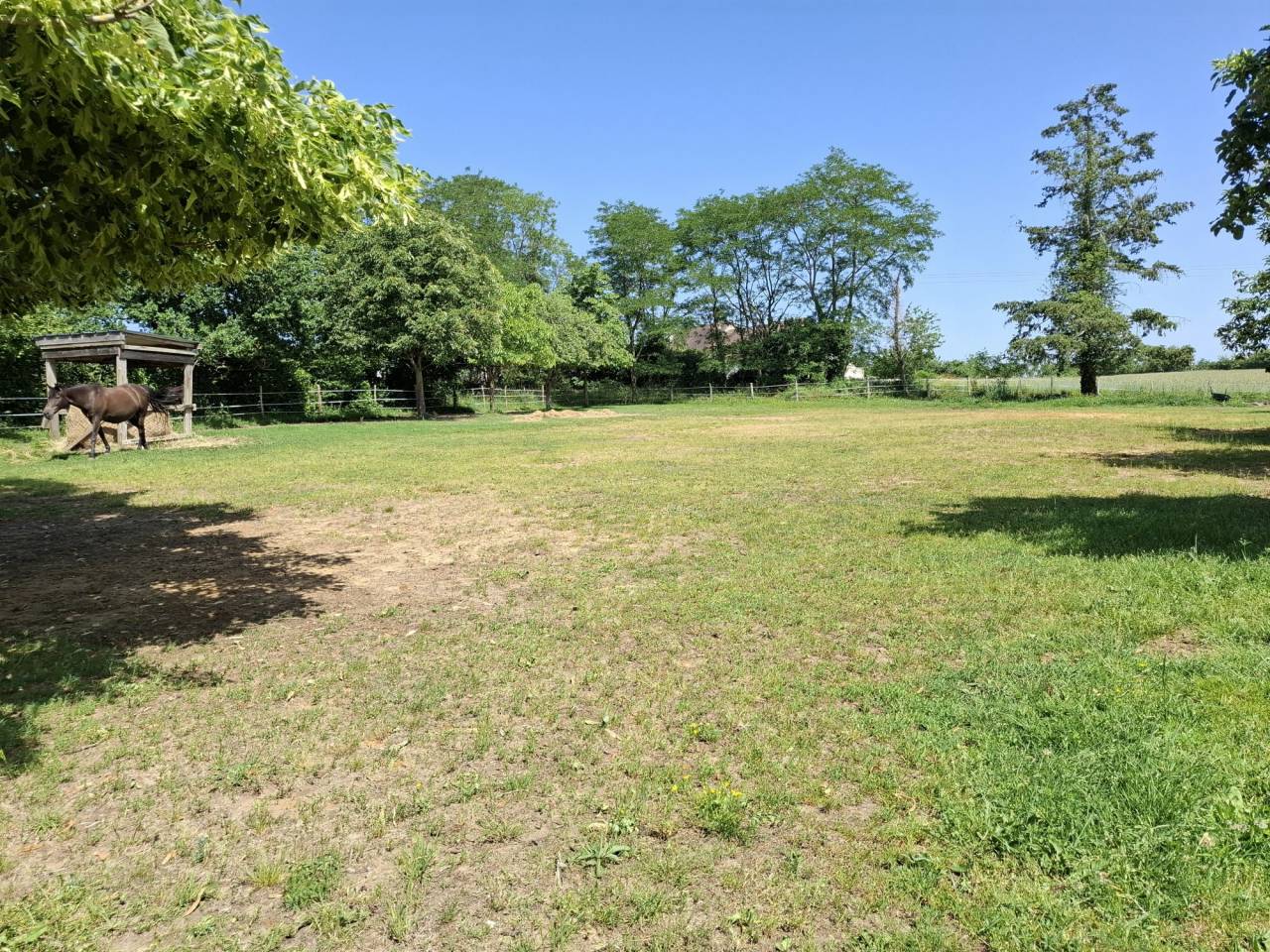 Alloggio equestre In vendita Loir-et-Cher