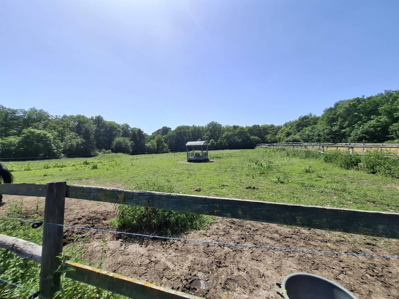 Alloggio equestre In vendita Loir-et-Cher
