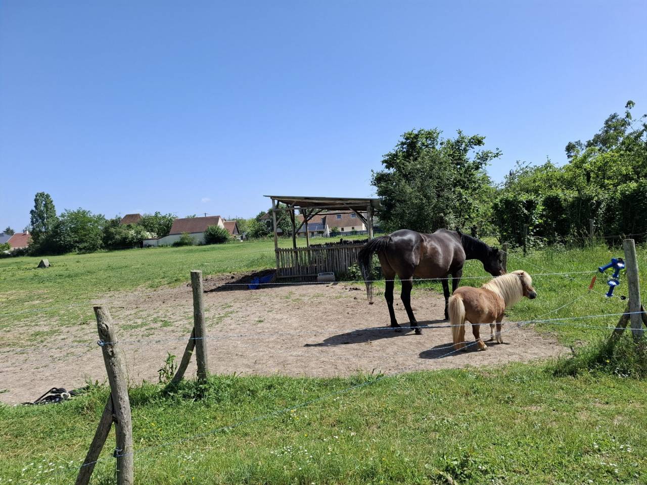 Alloggio equestre In vendita Loir-et-Cher
