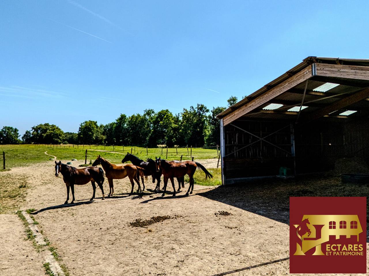 Propriet&agrave; equestre In vendita Ain