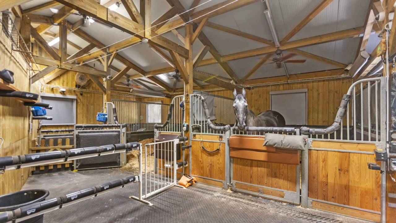 Bella dimora equestre In vendita Var