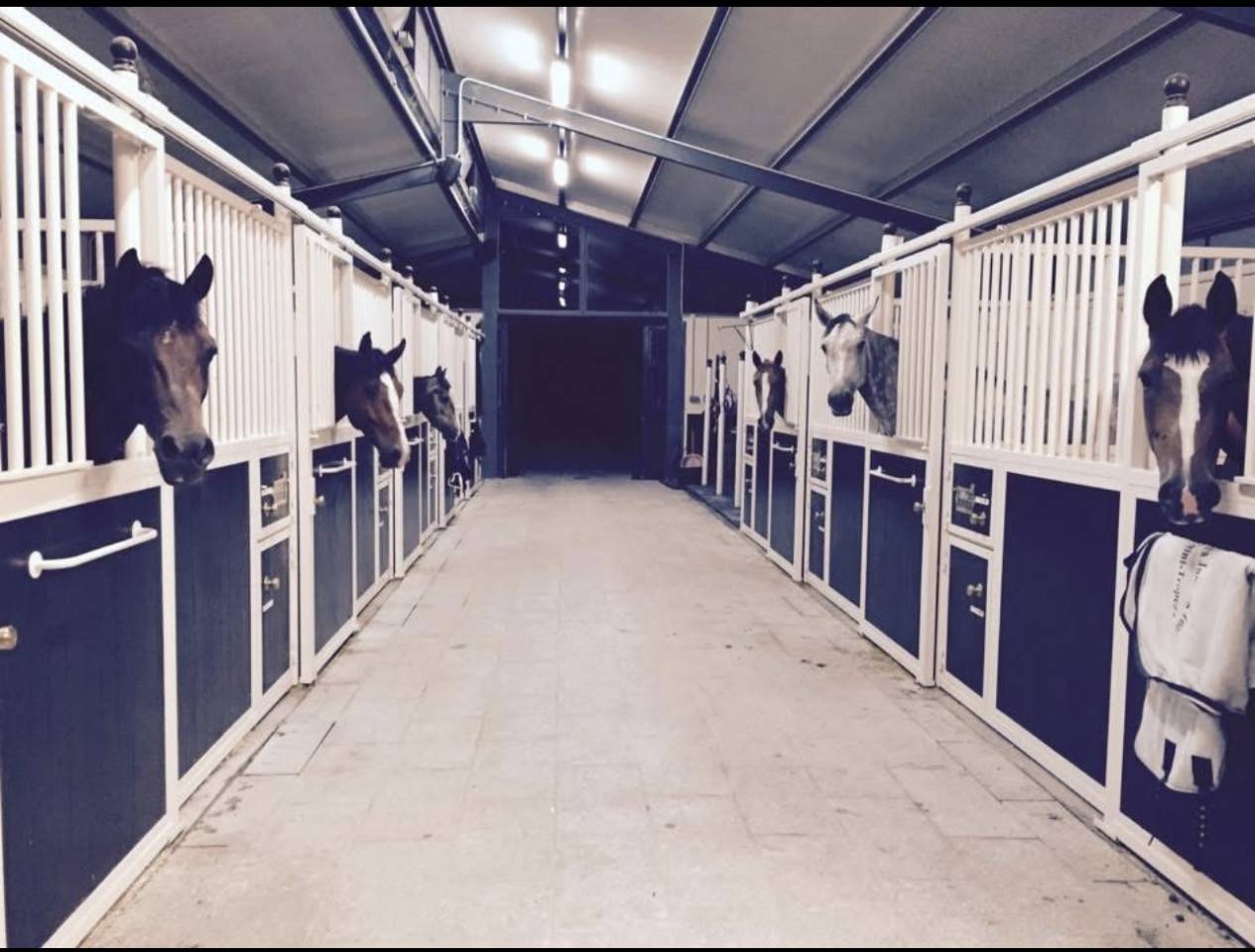 Bella dimora equestre In vendita Seine-et-Marne