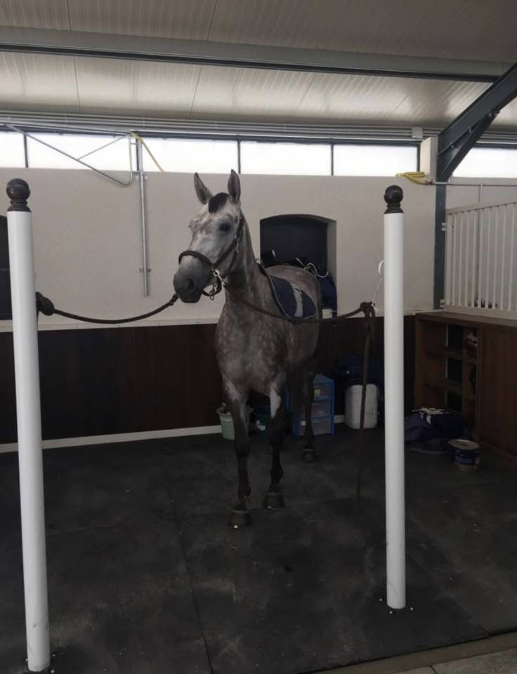 Bella dimora equestre In vendita Seine-et-Marne