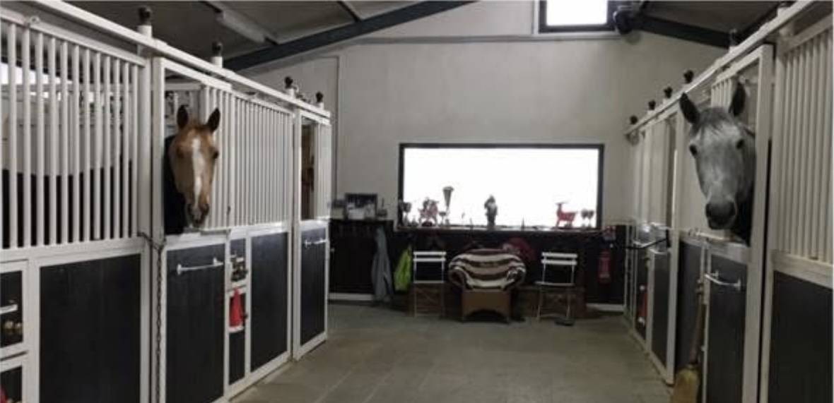 Bella dimora equestre In vendita Seine-et-Marne