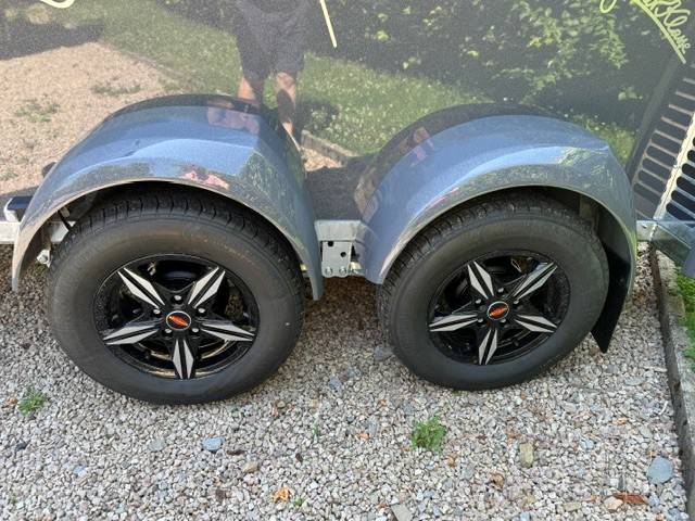 Trailer Bockmann MASTER  2 Cavalli 2026 Nuovo