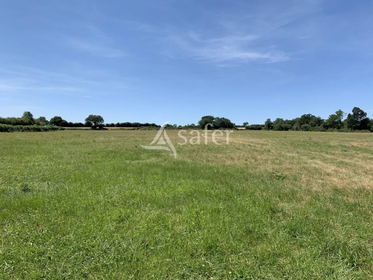 Azienda agricola In vendita Orne