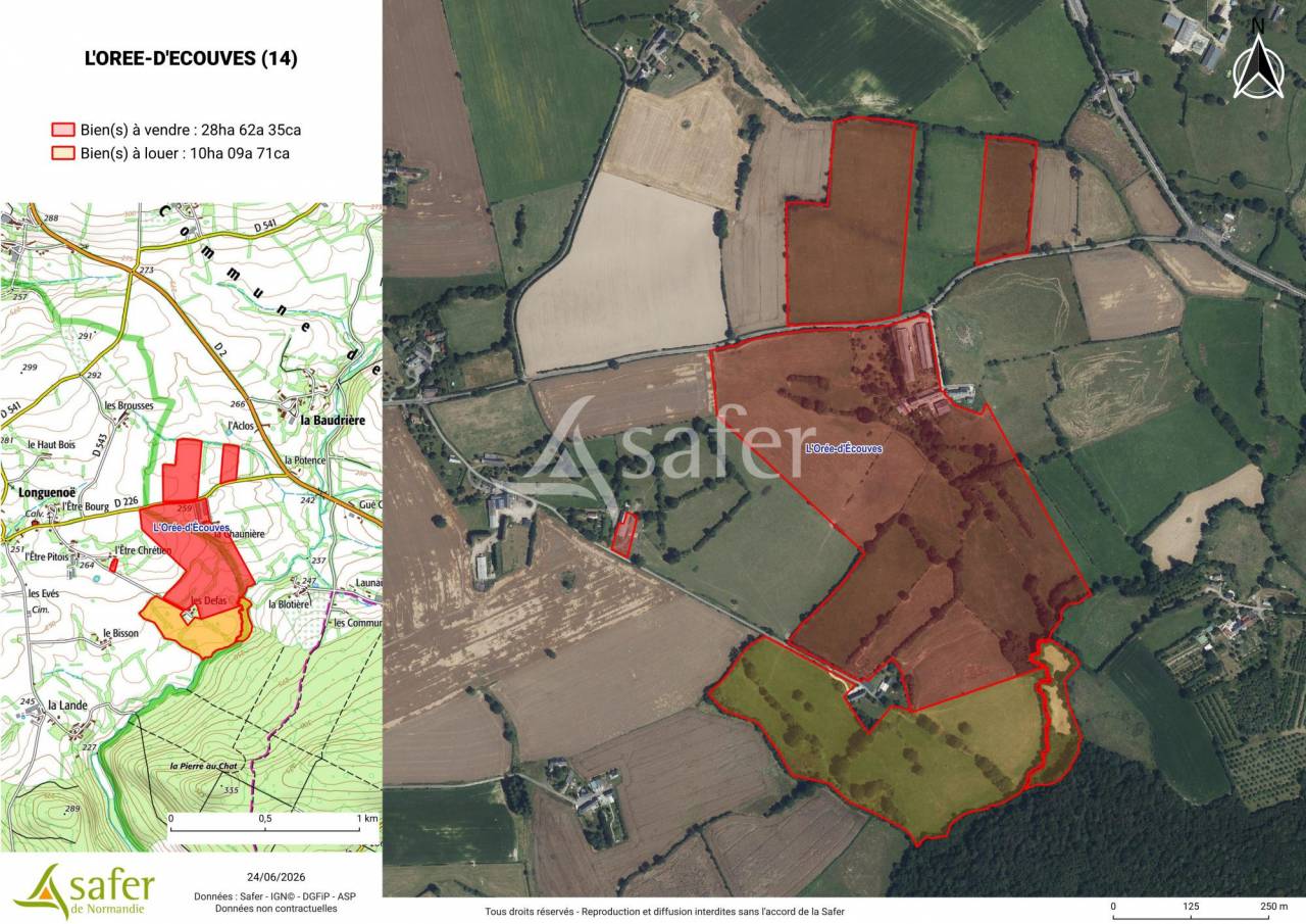 Azienda agricola In vendita Orne