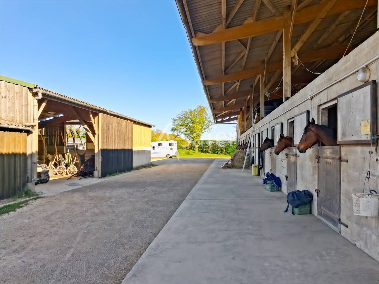 Propriet&agrave; equestre In vendita Calvados