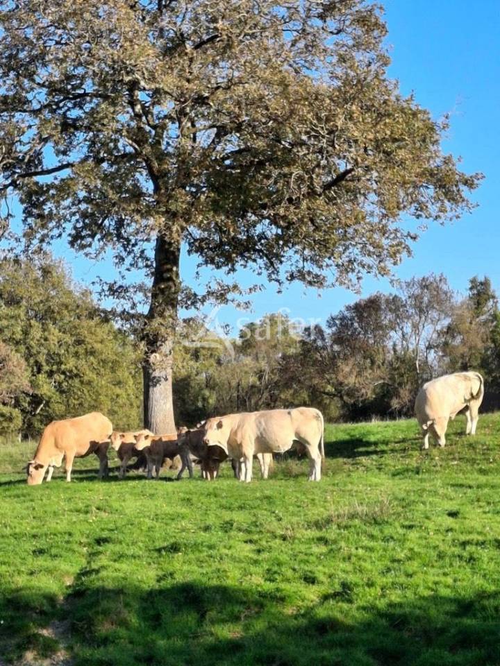 Propriet&agrave; rurale In vendita Loire-Atlantique
