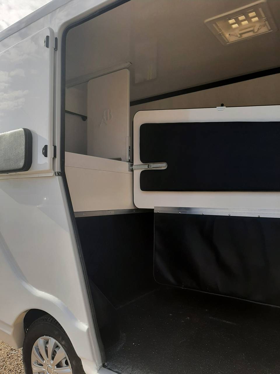 Van per Cavalli Renault Master 2017 Occasione