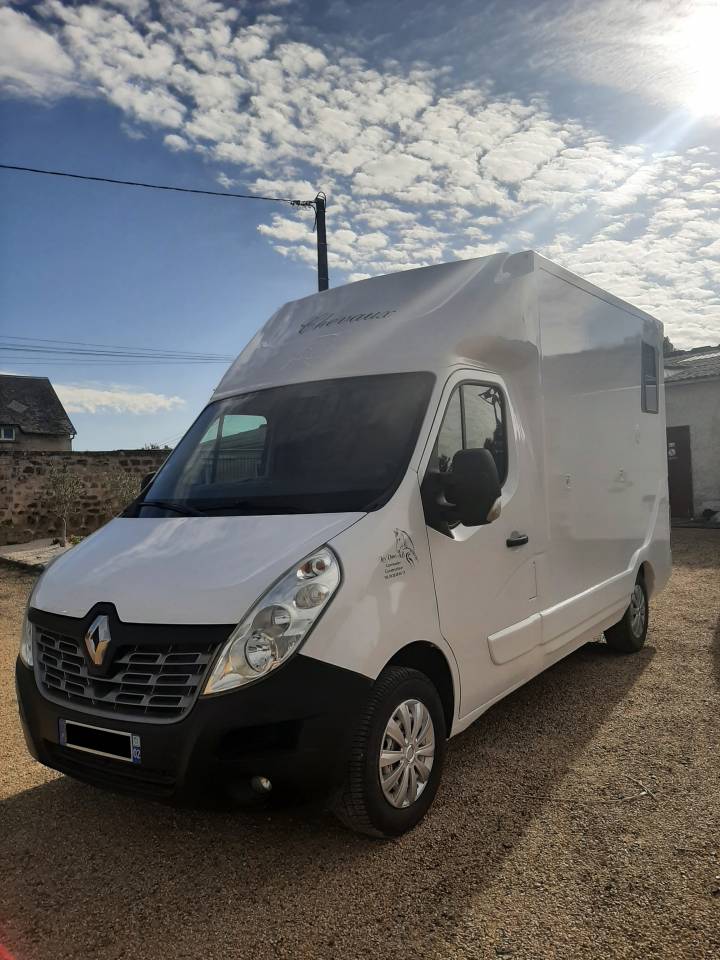 Van per Cavalli Renault Master 2017 Occasione