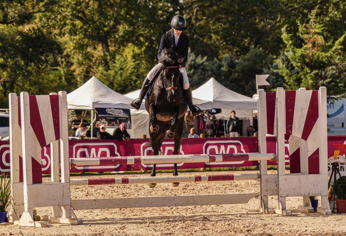 Cavalla PFS Pony Francese da Sella In vendita 2018 Nero ,  &Eacute;tam d&rsquo;Odival