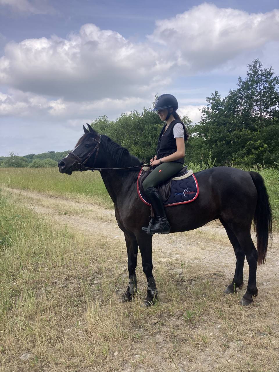 Cavalla PFS Pony Francese da Sella In vendita 2018 Nero ,  &Eacute;tam d&rsquo;Odival