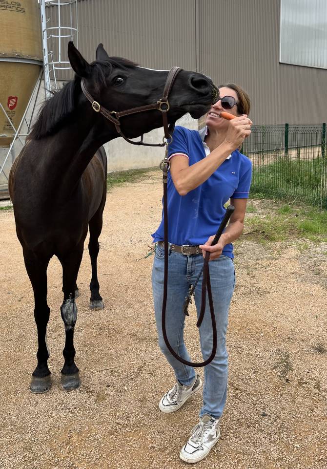 Cavalla PFS Pony Francese da Sella In vendita 2018 Nero ,  &Eacute;tam d&rsquo;Odival