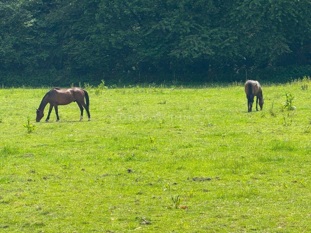 Propriet&agrave; equestre In vendita Seine-et-Marne