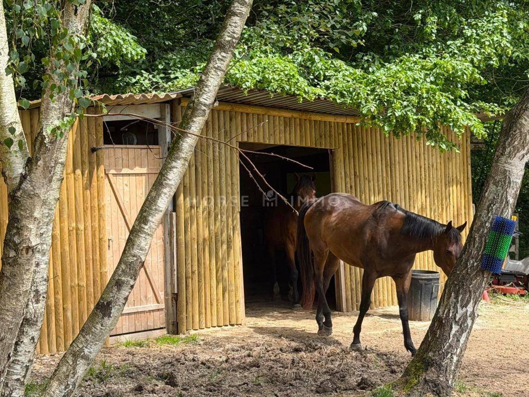 Propriet&agrave; equestre In vendita Seine-et-Marne