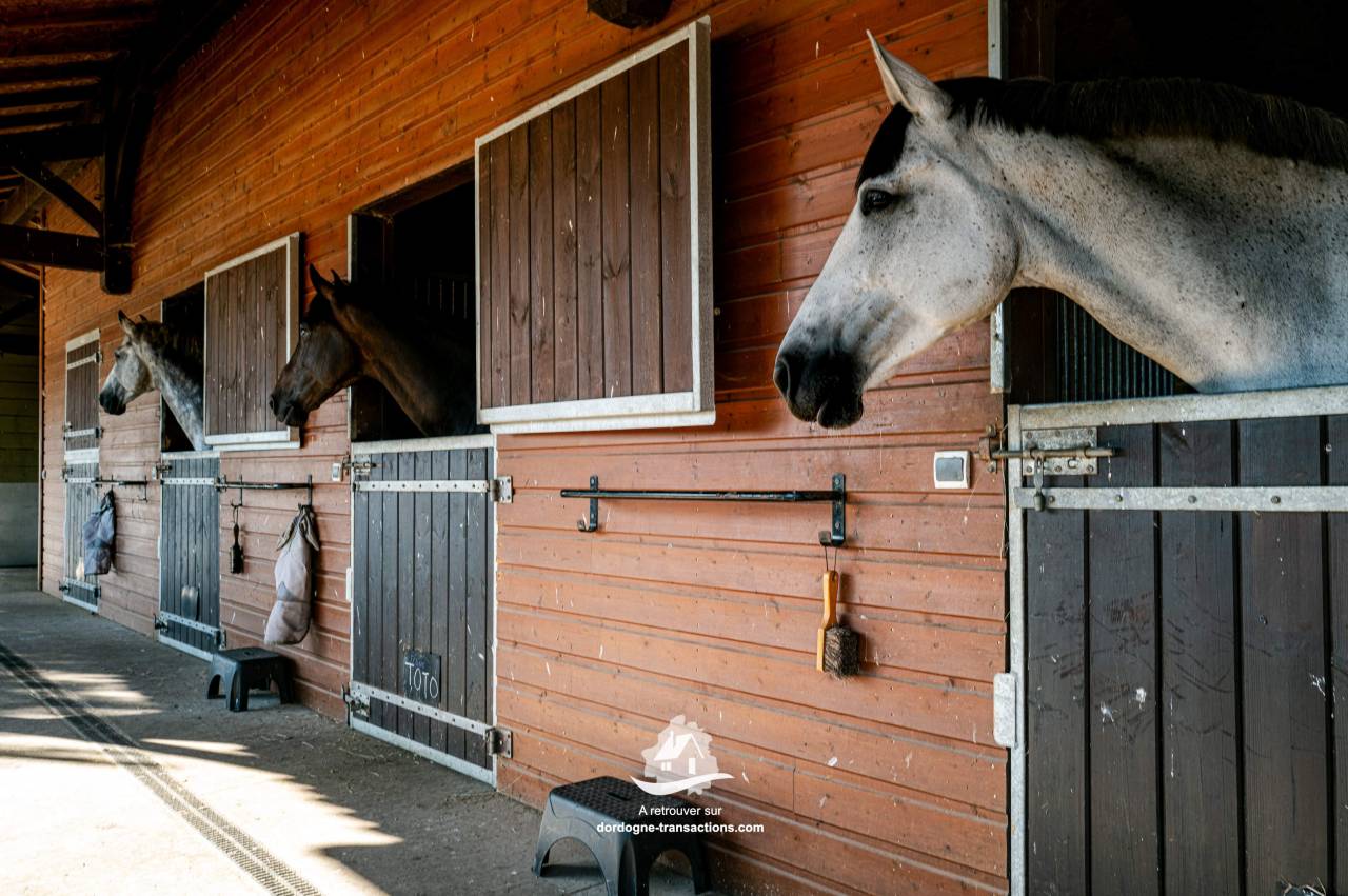 Propriet&agrave; equestre In vendita Dordogne
