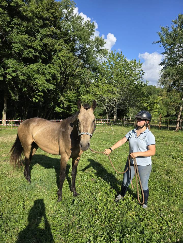 Stallone Connemara In vendita 2022 Isabella ,  Magherafadd  lad IRL