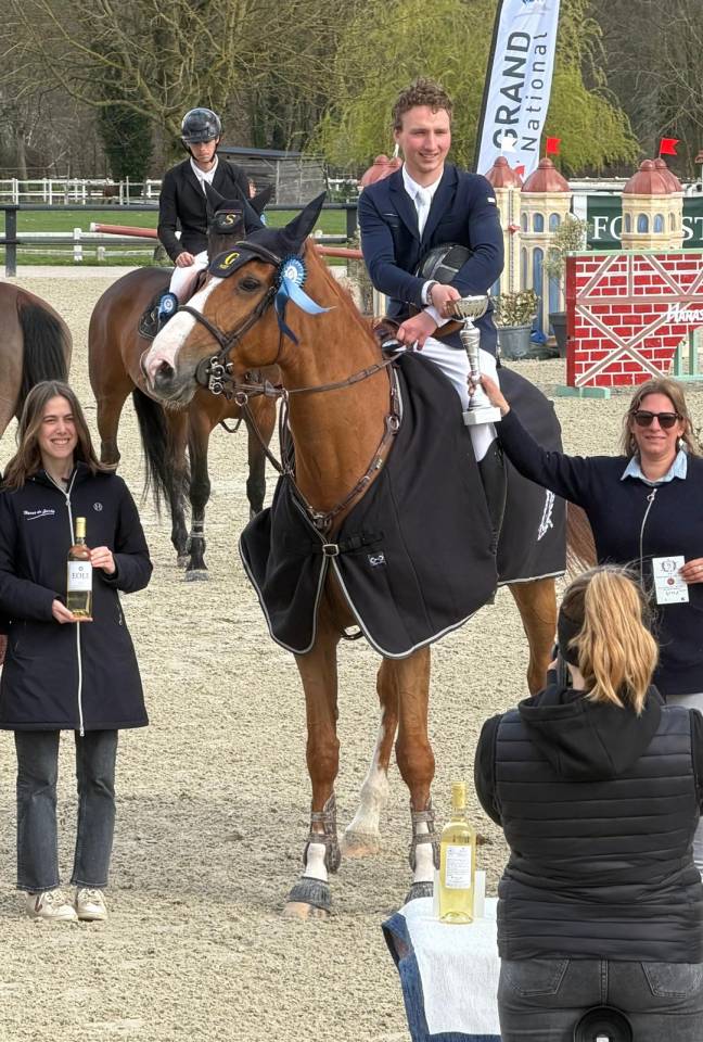 Cavalla Sella Francese In vendita 2019 Sauro brul&eacute; ,  NERVOSO SF