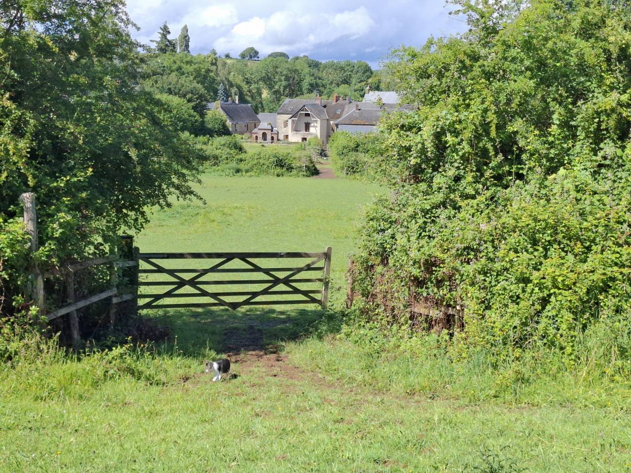 Scuderia per proprietari In vendita Mayenne