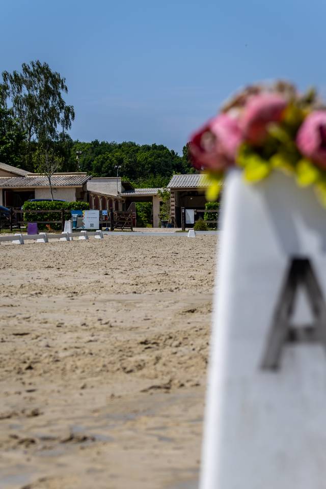 Centro di stagione cavallo In vendita Paris