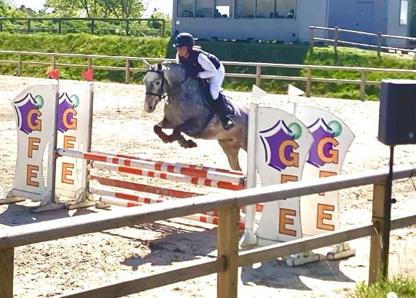 Cavalla PFS Pony Francese da Sella In vendita 2022 Grigio