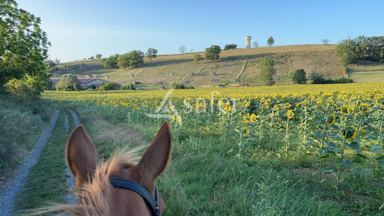 Propriet&agrave; equestre In vendita tarn