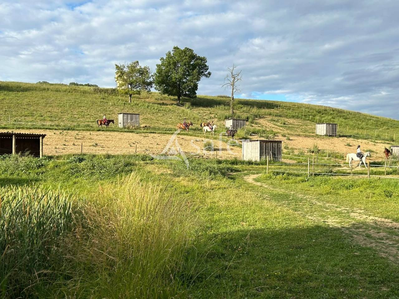 Propriet&agrave; equestre In vendita tarn