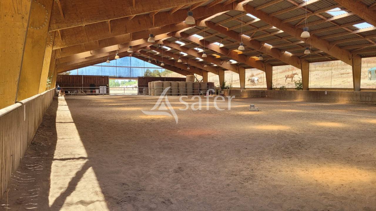 Propriet&agrave; equestre In vendita tarn