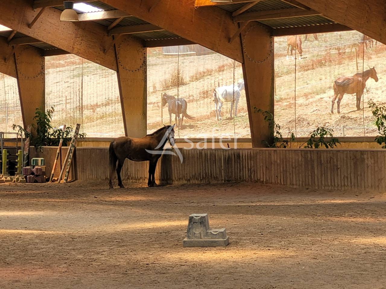 Propriet&agrave; equestre In vendita tarn