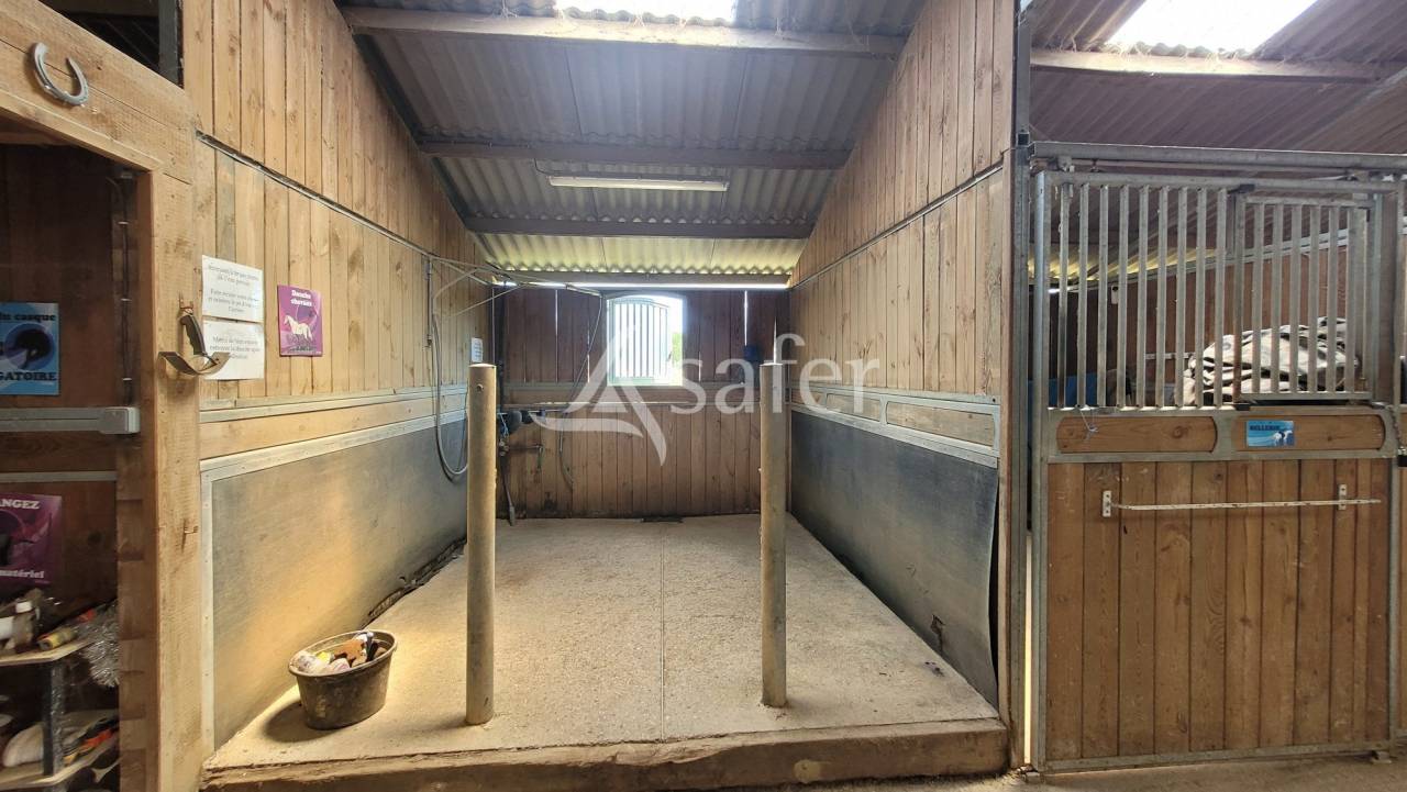 Propriet&agrave; equestre In vendita tarn