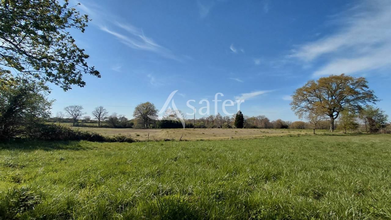Azienda agricola In vendita Vienne