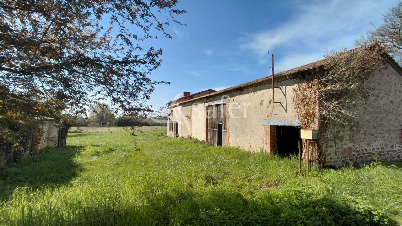 Azienda agricola In vendita Vienne