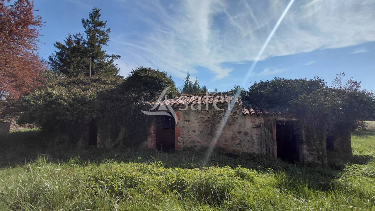 Azienda agricola In vendita Vienne
