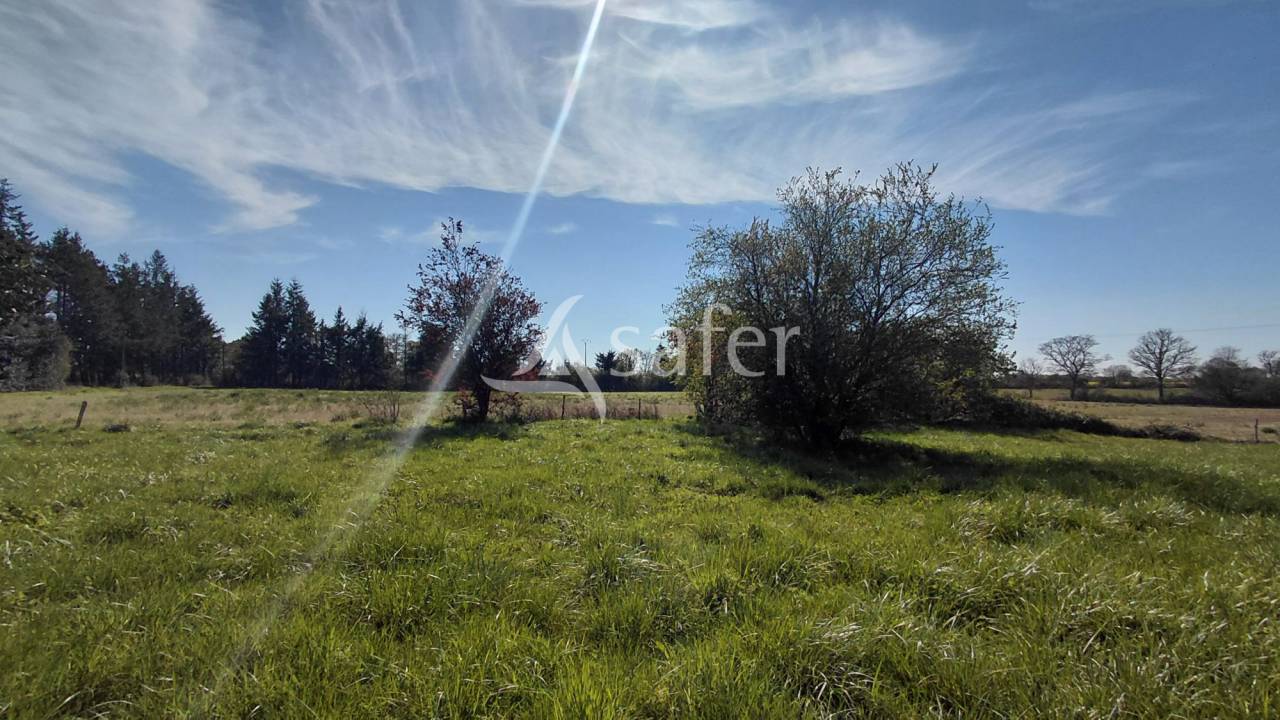 Azienda agricola In vendita Vienne