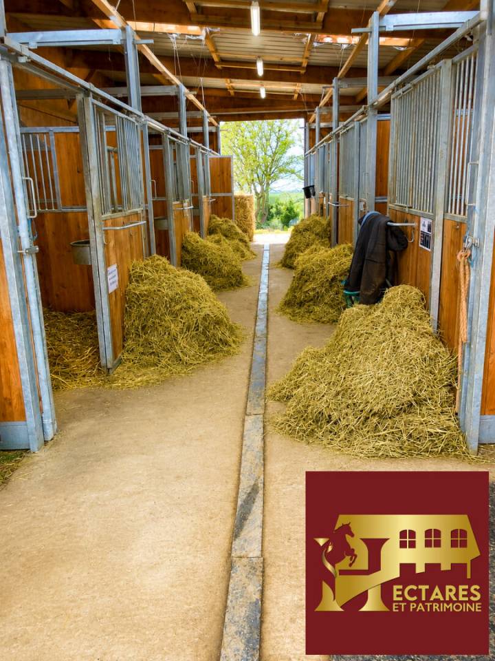 Scuderia per proprietari In vendita Loire-Atlantique
