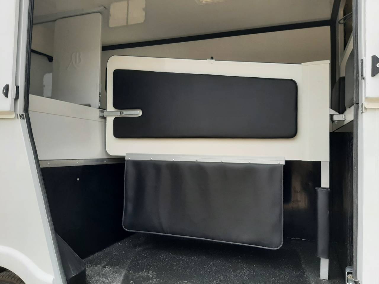 Van per Cavalli Renault Master  2017 Occasione