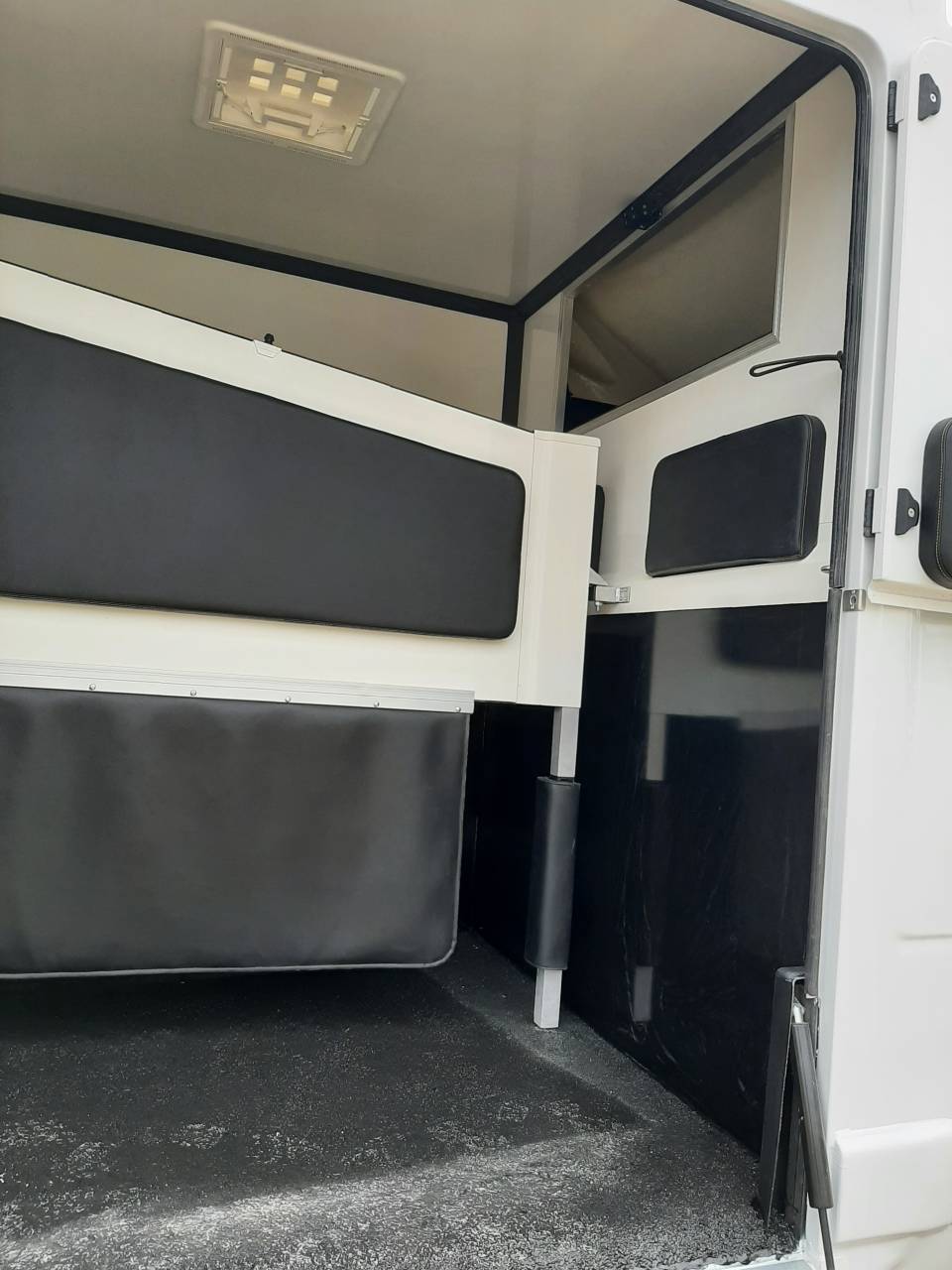 Van per Cavalli Renault Master  2017 Occasione