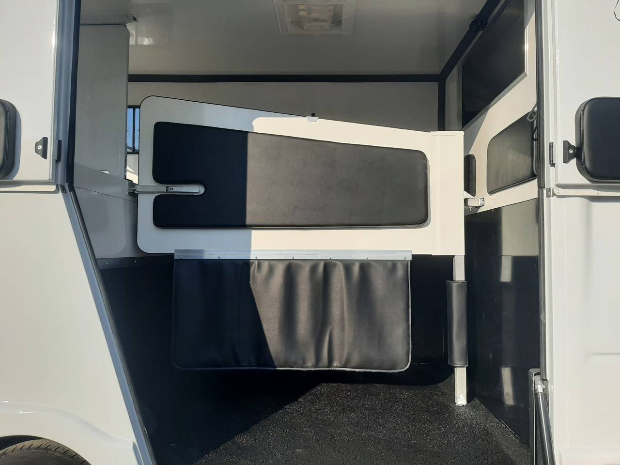 Van per Cavalli Renault Master 2018 Occasione
