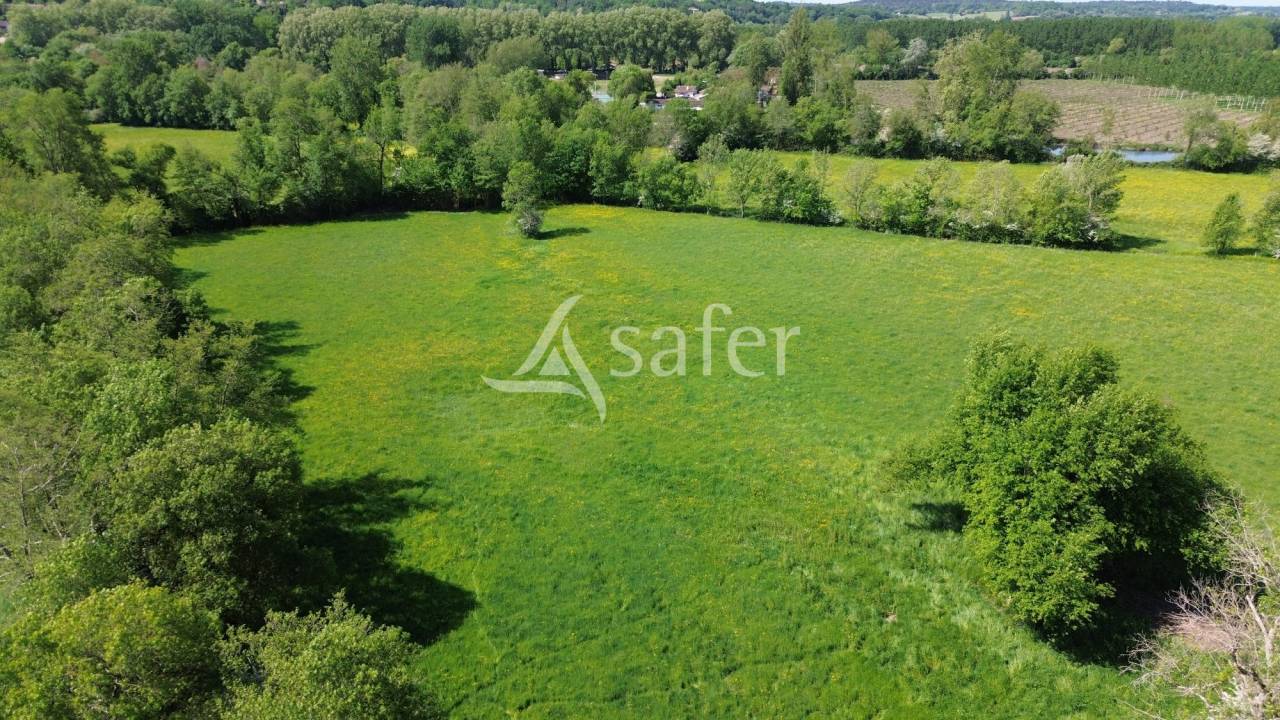 Azienda ovina In vendita Dordogne