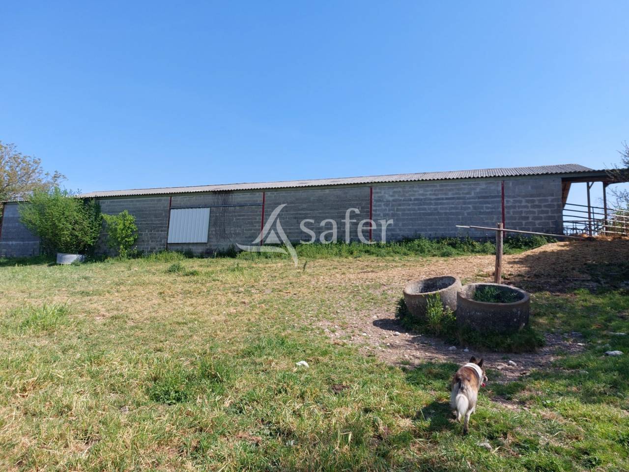 Azienda ovina In vendita Dordogne