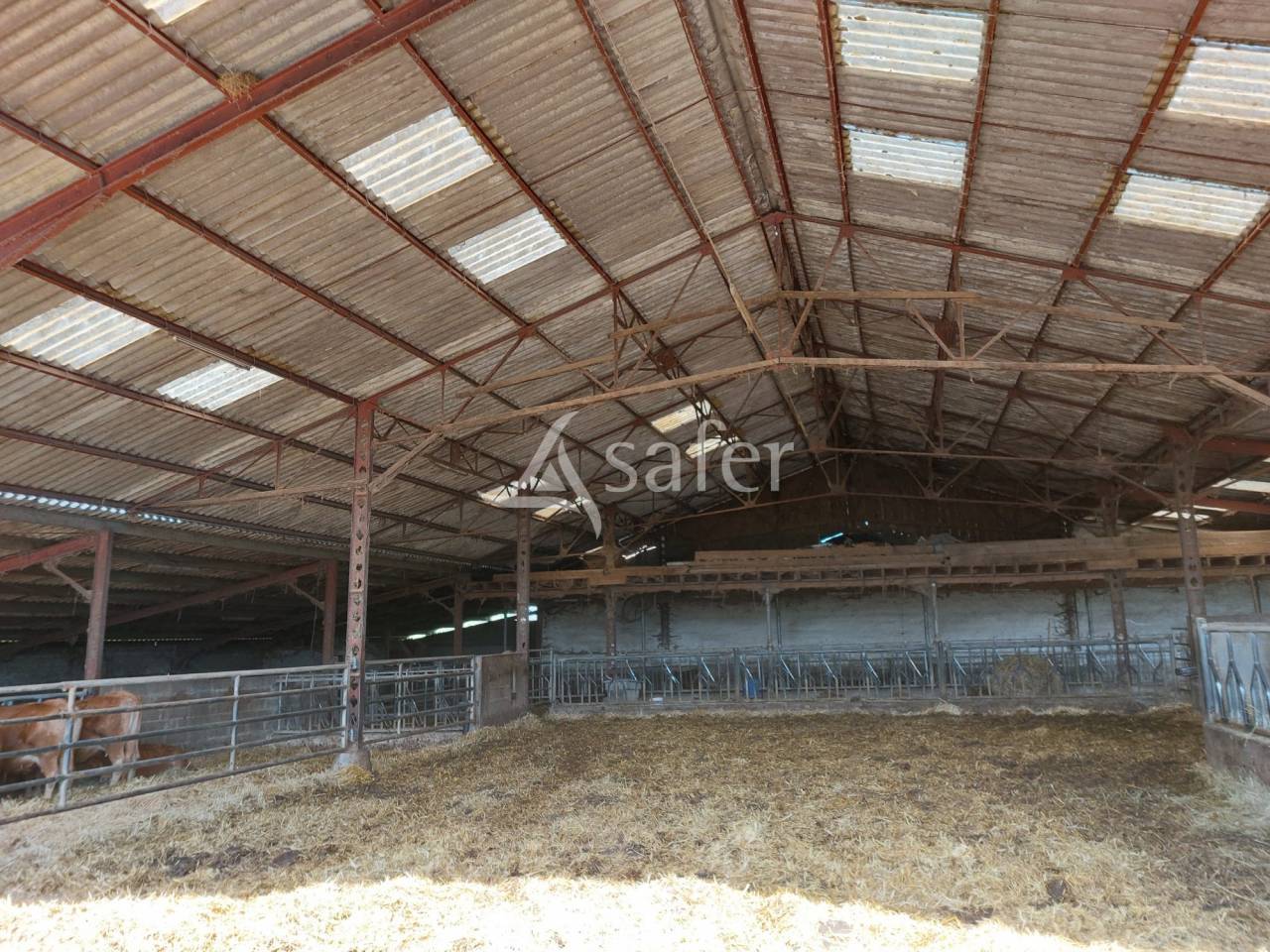 Azienda ovina In vendita Dordogne