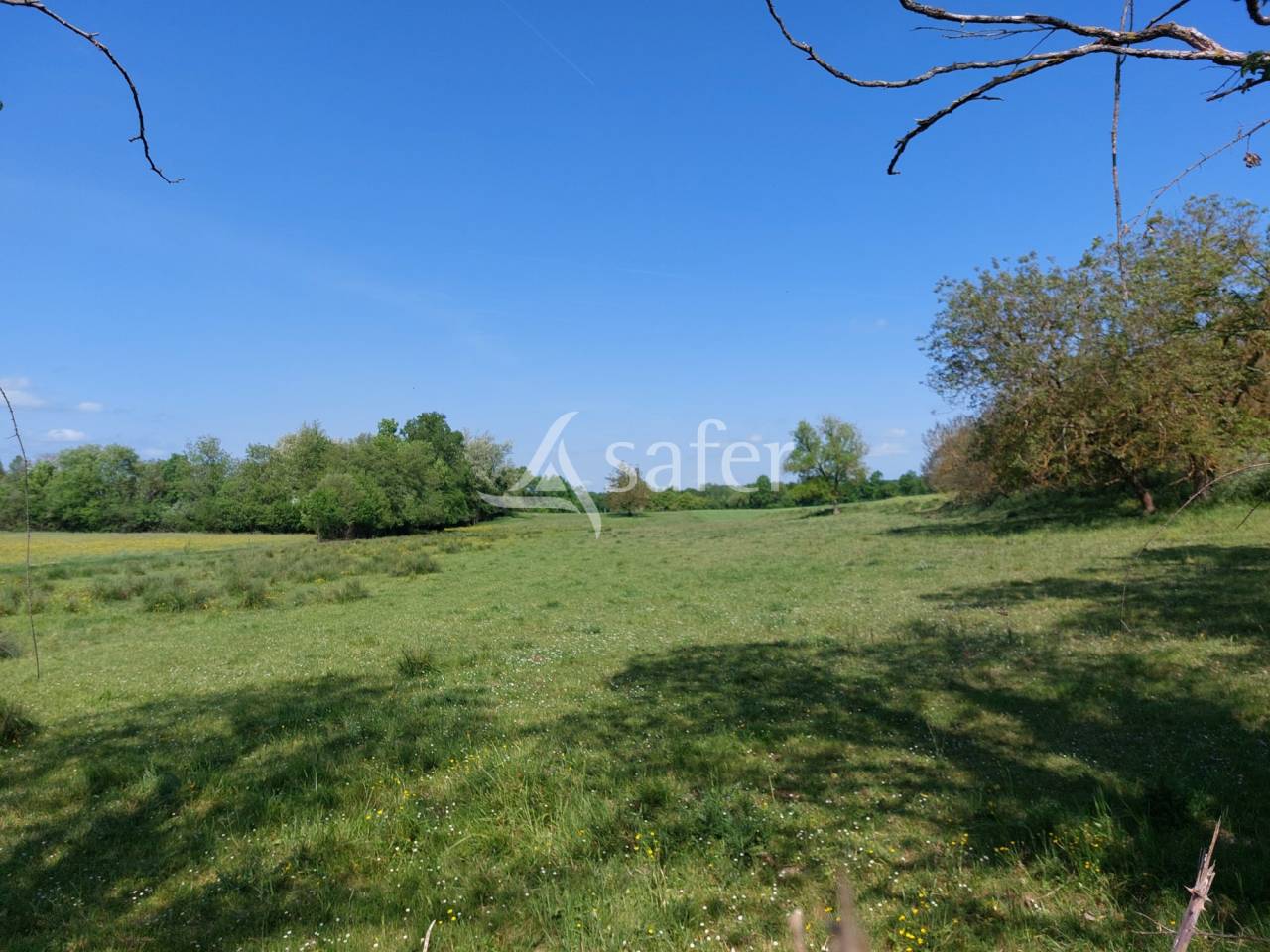 Azienda ovina In vendita Dordogne