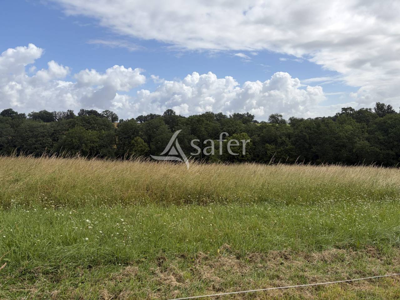 Azienda agricola In vendita Lot-et-Garonne