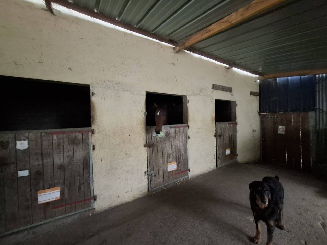 Scuderia per proprietari In vendita Sarthe