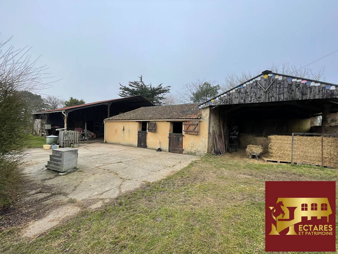 Propriet&agrave; equestre In vendita Loire-Atlantique