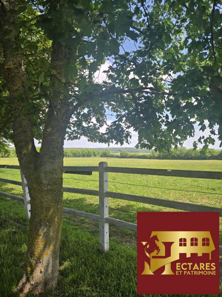 Centro di stagione cavallo In vendita Orne